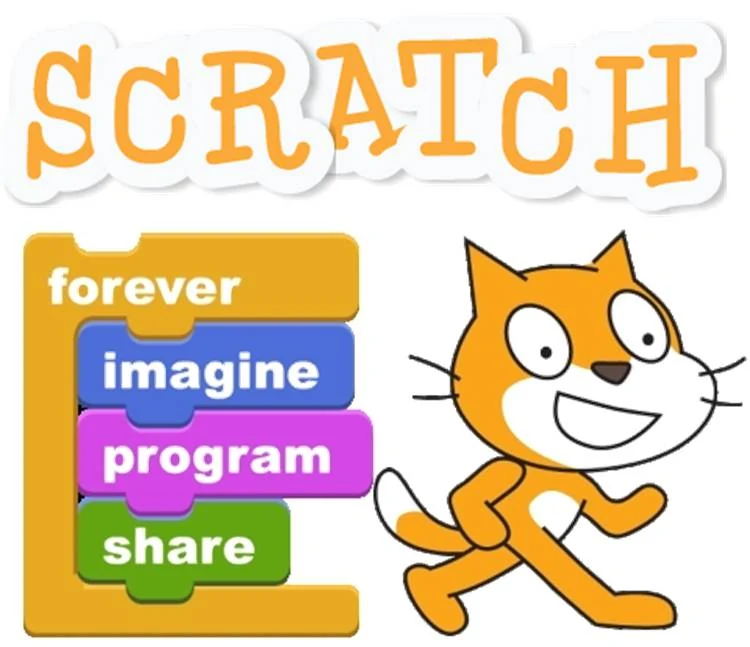 scratch kocur